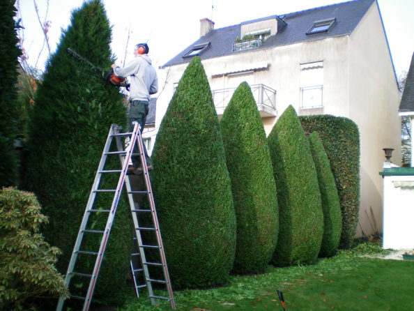 Entretien de jardin taille arbre arbuste AR' Paysage Nantes (44)