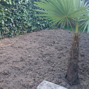 AR' Paysage-paysagiste-Nantes-création-entretien-de-jardin-aménagement-paysager-terrasse-bois