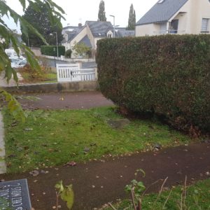 AR' Paysage création entretien de jardin aménagement paysager paysagiste Nantes (44)